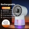 Innovative 2-in-1 Fan with Mosquito Killing Lamp